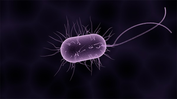 Bacterias con toque de midas