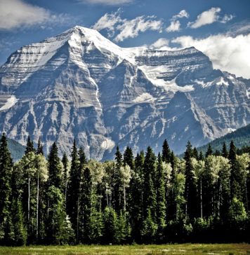 Día Mundial del Medio Ambiente Canadá