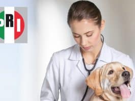 PRI publica mensaje del Día del veterinario con errores