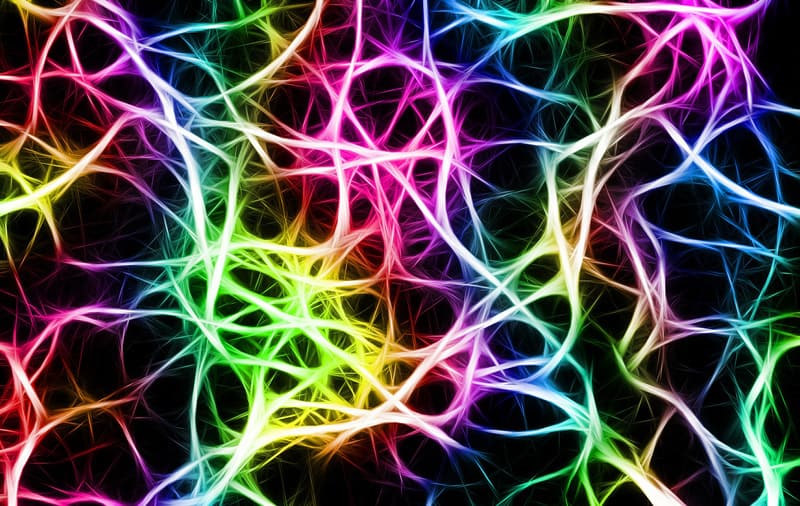 formación de la memoria en el cerebro engramas silenciosos MIT