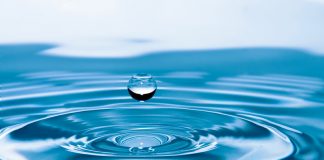 En el día mundial del agua, inicia la campaña: La Década del Agua