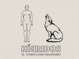 Híbridos. El cuerpo como imaginario, Museo de Bellas artes
