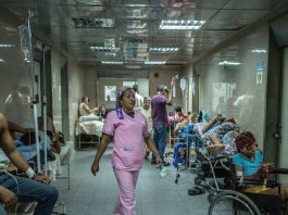 Venezuela, primer lugar en aumento de casos de paludismo o malaria