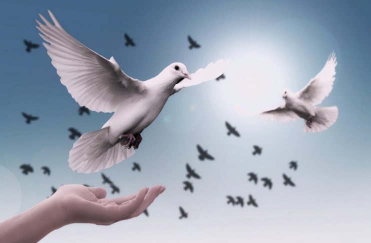 Día Internacional de la Paz 2018 Día de la paz