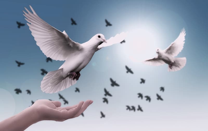 Día Internacional de la Paz 2018 Día de la paz