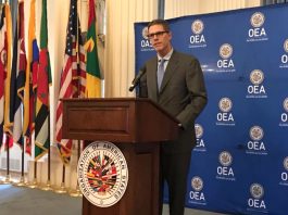 ataques cibernéticos OEA