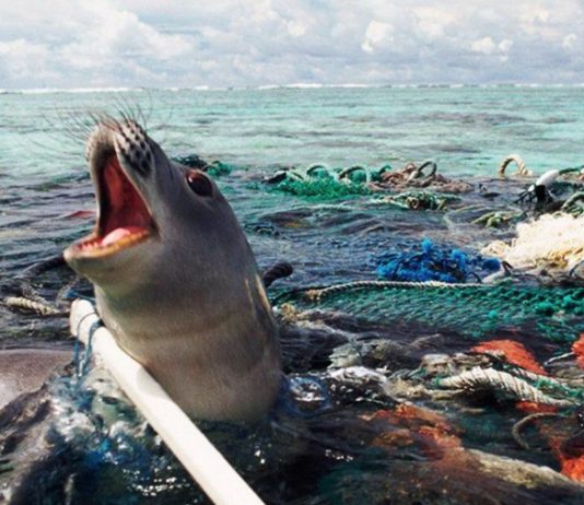 Océano Plástico redes de pesca