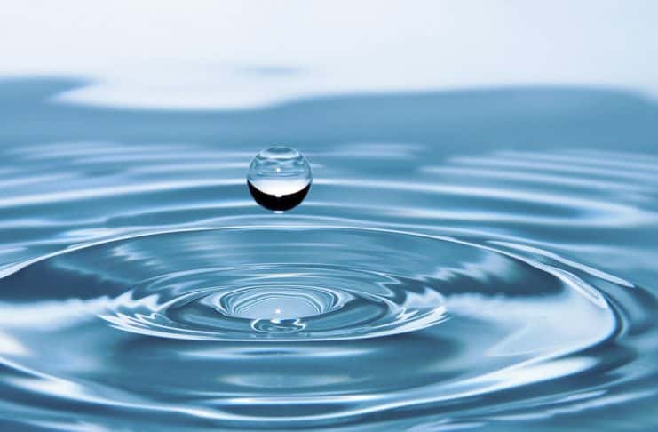 Agua para el Desarrollo Sostenible, Sin agua, no hay vida