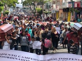 ONU-DH condena asesinatos de activistas y periodista en México