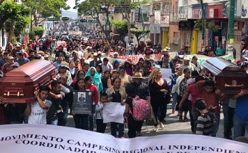 ONU-DH condena asesinatos de activistas y periodista en México