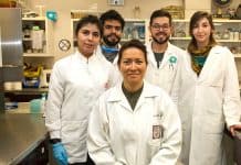Científicos del IPN crean terapia que elimina el virus del papiloma humano