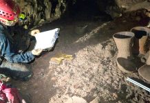 Hallazgo arqueológico en Chichen Itzá