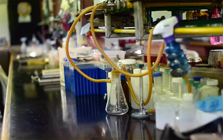 Investigadoras de la UNAM logran degradar el plástico con una enzima