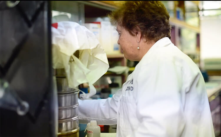 Investigadoras de la UNAM logran degradar el plástico con una enzima