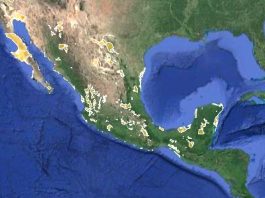 Estrategias y acciones contra el cambio climático en México