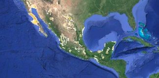 Estrategias y acciones contra el cambio climático en México