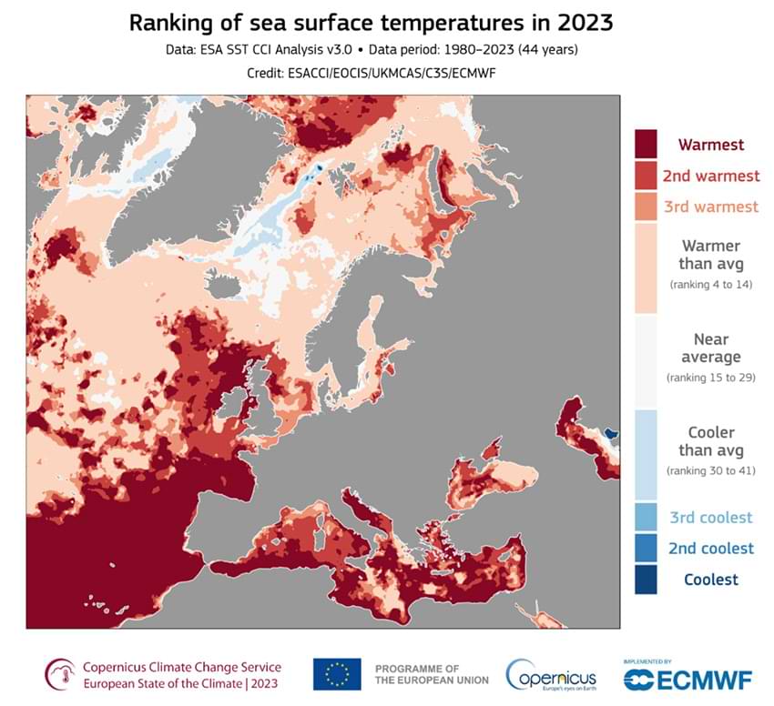 Cambio de temperatura en la superficie del mar para el 2023.