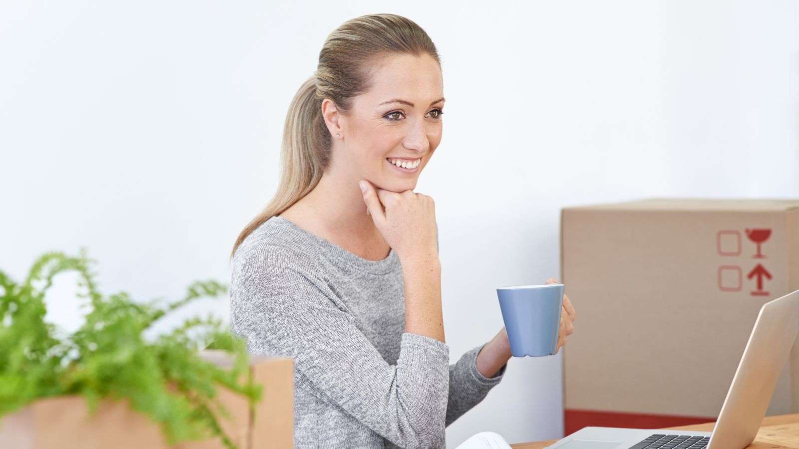 Usuarios digitales analizan opciones antes de realizar una compra en línea.